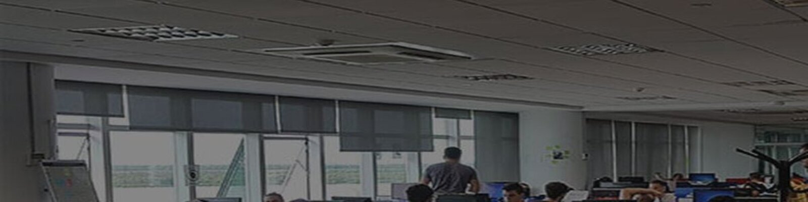 Lowe's USA via Neoris header